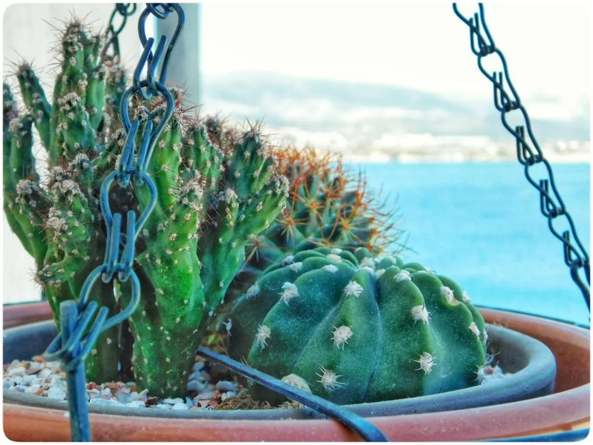 Littlevenice Appartme 50M From Sea Trogir Croatie